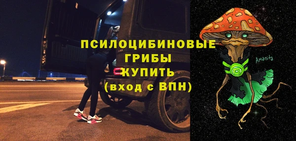 молекула духа Алзамай