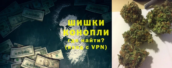 PSILOCYBIN Михайлов