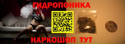 сатива Долгопрудный