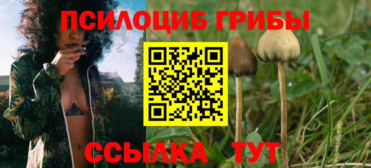 Лобня  Псилоцибиновые грибы GOLDEN TEACHER  Галлюциногенные грибы Magic Shrooms  Вход с VPN 