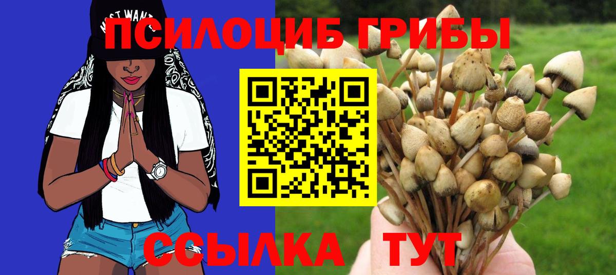 Галлюциногенные грибы MAGIC MUSHROOMS Лобня